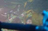 
DSC00060